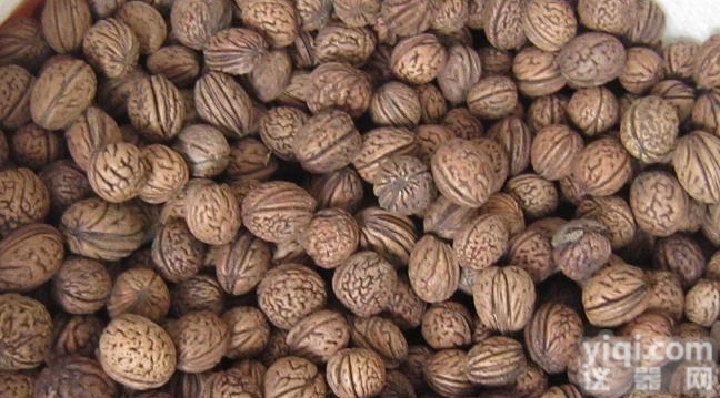 <em>RZDGJ</em> 银杏仁<em>冻干机</em>