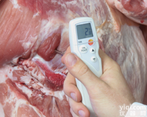 205 <em>肉类</em><em>酸度计</em>/<em>食品</em><em>酸度计</em>/<em>食品</em>PH计