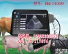 <em>兽用</em>B超HRQ-5100AV <em>山东</em>济宁<em>兽用</em>B超