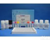  Beta-<em>兴奋剂</em>Elisa<em>试剂盒</em>