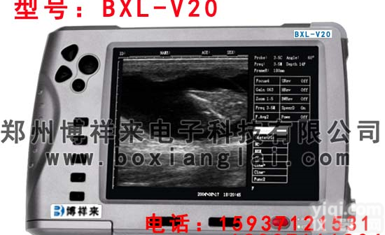 牛用B超BXL-V20 <em>兽用</em>B超监测<em>动物</em>的肾动脉狭窄-博祥来<em>兽用</em>B超