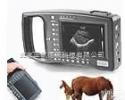 DP-2000AV <em>兽用</em>B超/猪用B超/<em>妊娠</em><em>诊断仪</em>/测孕仪