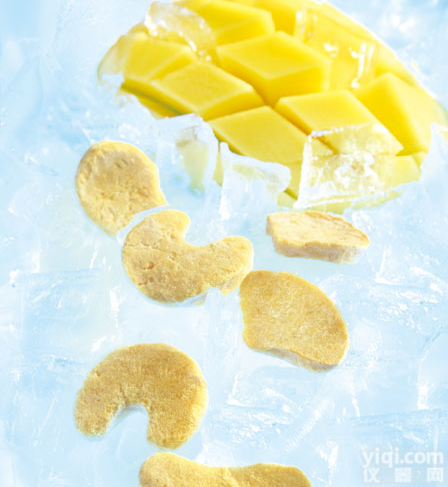 <em>RZDGJ</em> 菠萝<em>冻干机</em>