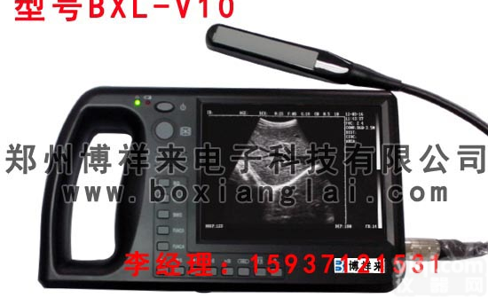 BXL-V10  <em>兽用</em>B超监测奶牛<em>发情</em>方法-博祥来<em>兽用</em>B超