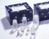 HR005 <em>人教</em>版<em>试剂盒</em> PCR<em>试剂盒</em>