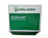 猪伪<em>狂犬病</em>病毒(PRV)ELISA<em>检测</em><em>试剂</em>盒现货供应