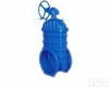 Z545X <em>大口径弹性座封闸阀</em>