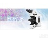 BX51-P偏光<em>显微镜</em> 北京<em>奥林巴斯</em><em>显微镜</em> <em>奥林巴斯</em>BX51-P偏光<em>显微镜</em>