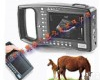 VD-2000AV 兽用B超/猪用B超/<em>妊娠</em><em>诊断仪</em>/测孕仪