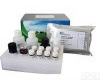  特价供应 兔去甲<em>肾上腺素</em>(NA)ELISA Kit <em>价格</em>