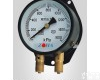 YZS-102双针<em>压力表</em>,双针双管<em>压力表</em> YZS-102双针<em>压力表</em>,双针双管<em>压力表</em>