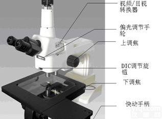  <em>微分</em>干涉<em>显微镜</em>( 观察<em>导电</em>粒子)