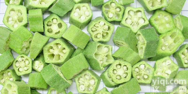 <em>RZDGJ</em> 苦瓜<em>冻干机</em>