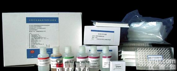 48T/96T 人通用<em>转录</em><em>复合体</em>(GTC)ELISA<em>试剂盒</em>