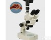 RHA-BTL-486 三目<em>体视</em><em>显微镜</em>/三目<em>体视</em><em>显微镜</em>（电脑型）/<em>体视</em><em>显微镜</em>/<em>显微镜</em>