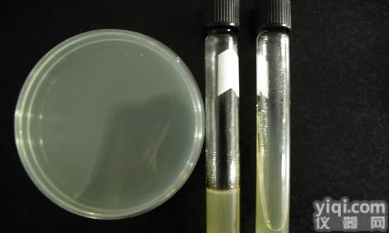 瓶、袋、箱、盒 <em>活性炭</em><em>酵母</em><em>琼脂</em>(CYE)