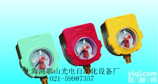 SB-<em>SH</em> <em>压力表</em>