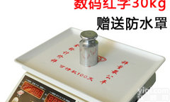 <em>无 电子称</em>