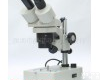 4400 带上下<em>光源</em><em>显微镜</em>两档<em>体视</em><em>显微镜</em>10/30或20/40倍<em>显微镜</em>