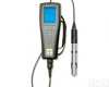 YSI <em>Pro20</em> YSI <em>Pro20</em>型<em>溶解氧</em><em>测量仪</em>