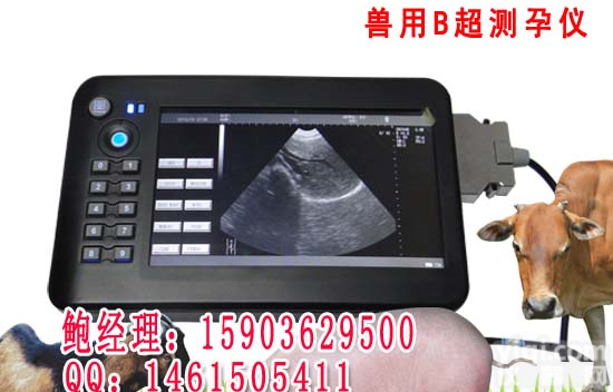 HRQ-5100AV <em>进口</em><em>母猪</em>用B超