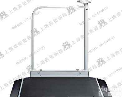 scs 医院<em>透析</em>电子<em>轮椅</em>秤品Pai—<em>残疾人</em>用300KG血液<em>透析</em>称