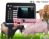HRQ-<em>7000</em>AV <em>龙岩</em><em>兽用</em>B超