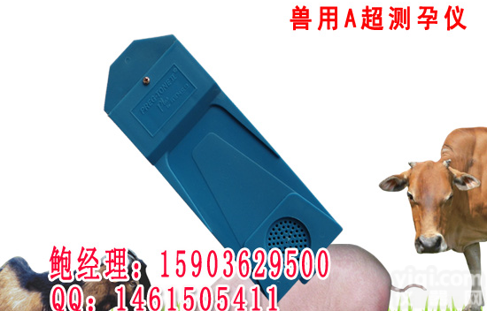 兽用A超测孕仪 动物A超<em>妊娠</em><em>诊断仪</em>A超测孕仪