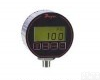 LP-<em>DPG</em>-100 <em>高精度</em>数字<em>压力计</em> 数字压力仪