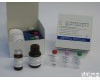 48t/96t 人<em>胸腺肽</em>α1 ELISA<em>试剂盒</em>