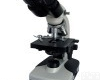 BM-11-2双目<em>简易</em><em>偏光</em><em>显微镜</em>,双目<em>偏光</em><em>显微镜</em>型号