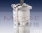 <em>CBQL</em>-E563/F525-<em>CFHL</em>, <em>双联</em>齿轮油泵