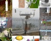  Plant-Watch 植物<em>生理</em><em>生态</em>监测系统