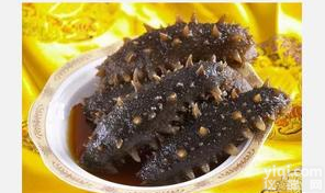 RZDGJ <em>冻干</em>海参代<em>加工</em>