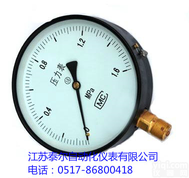 TE-Y TE-Y<em>普通</em><em>压力表</em>