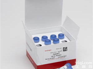 R250-01 <em>博莱</em><em>霉素</em>/<em>Zeocin</em>