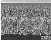  美国密理博<em>Millipore</em>高<em>流速</em>聚醚砜超滤膜