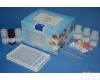  REAGENBeta-<em>兴奋剂</em>酶联免疫反应<em>试剂盒</em>
