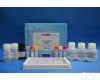 48T/96t <em>内质网</em>蛋白29 <em>ELISA</em>试剂盒用途
