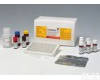 elisa<em>试剂盒</em> 小鼠<em>催乳素</em>ELISA<em>试剂盒</em>