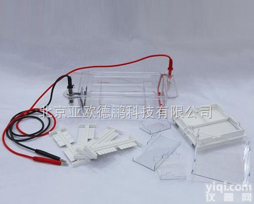 DP/DYCP-31DN <em>琼脂</em>糖水平<em>电泳</em>仪/<em>琼脂</em>糖水平<em>电泳</em>槽/<em>电泳</em>仪