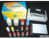  α-<em>银环蛇</em>毒素(α-BGT)ELISA<em>试剂盒</em>|免费代测