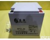 <em>SP12-24 蓄电池</em>