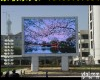 户外<em>全彩</em><em>电子屏</em> 户外<em>全彩</em><em>电子屏</em>价格