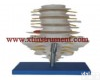 XTY5108435 自然大<em>腰椎</em>带尾<em>椎骨</em>模型