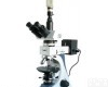 BM-60xCC电脑透<em>反射</em><em>偏光</em><em>显微镜</em>,国产<em>反射</em><em>偏光</em><em>显微镜</em>品Pai