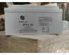 <em>SP12-65 蓄电池</em>