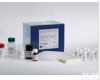 48T/96T盒 兔<em>皮质醇</em>检测<em>试剂盒</em>
