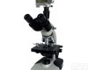 BM-11S<em>数码</em>简易<em>偏光</em><em>显微镜</em>,国产<em>数码</em><em>偏光</em><em>显微镜</em>