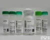  IRS-4  <em>胰岛素受体底物-4（抗原）</em>